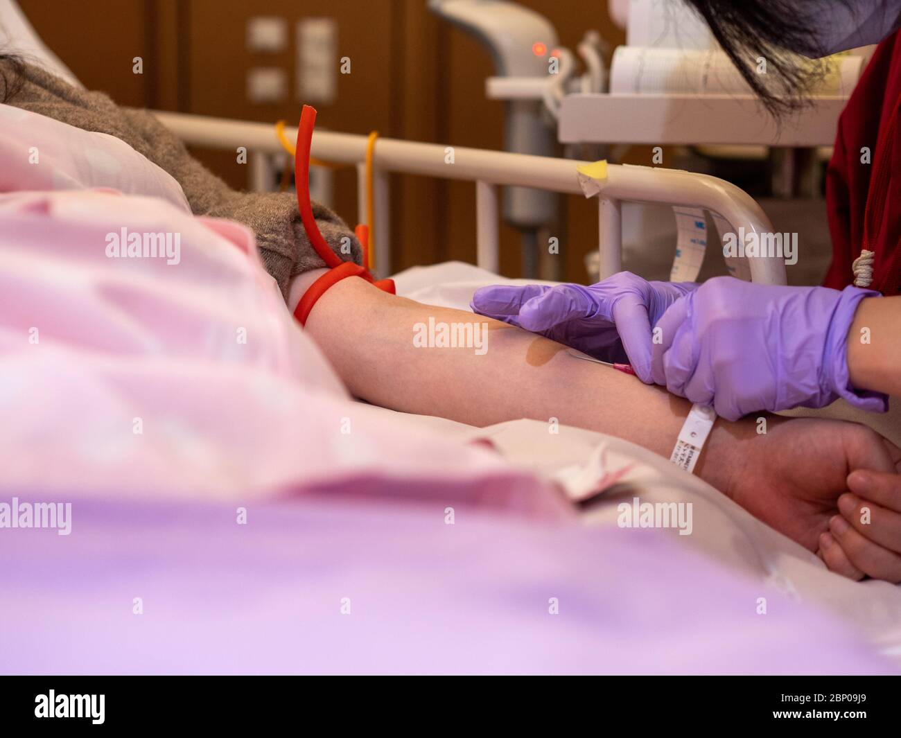 Un infermiere che inserisce una cannula nel braccio del paziente Foto Stock