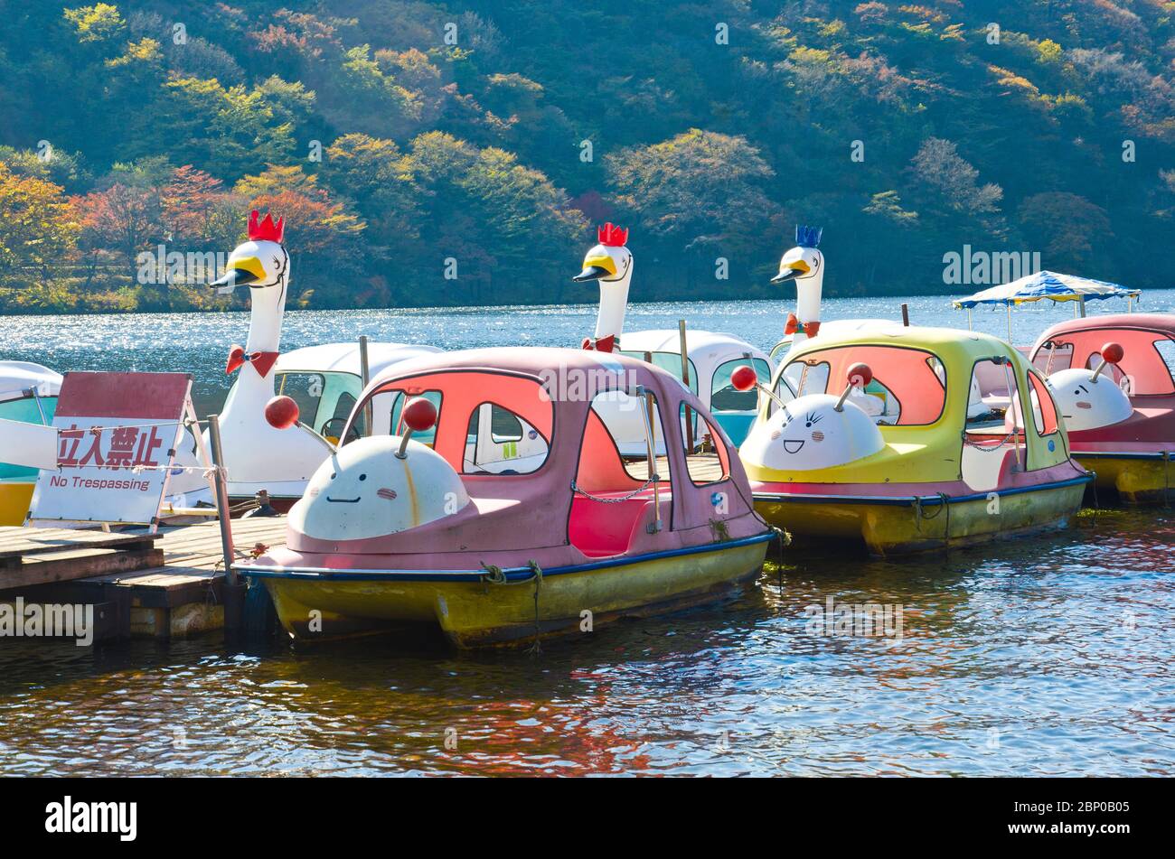 Barche turistiche sul lago Haruna in autunno, Gunma, Giappone Foto Stock