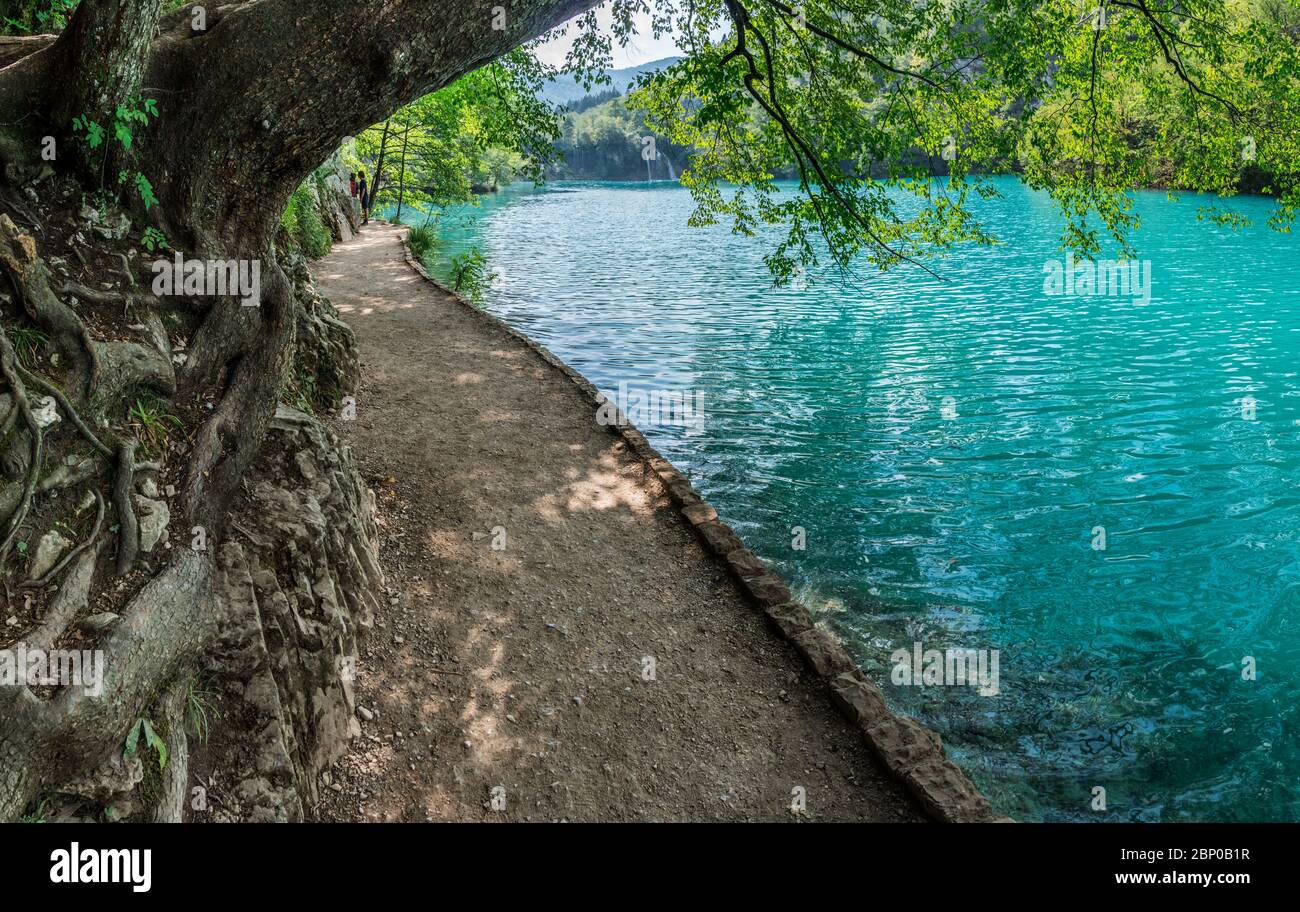 Il Parco Nazionale dei Laghi di Plitvice è uno dei parchi nazionali più antichi e più grandi della Croazia e patrimonio mondiale dell'UNESCO. Cascate, lago e sentieri Foto Stock