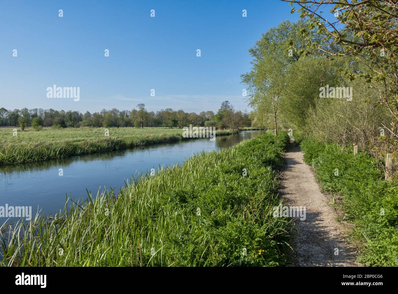 La via Itchen tra Eastleigh e Southampton. Un sentiero a lunga distanza che segue il fiume Itchen nell'Hampshire, Inghilterra, Regno Unito Foto Stock