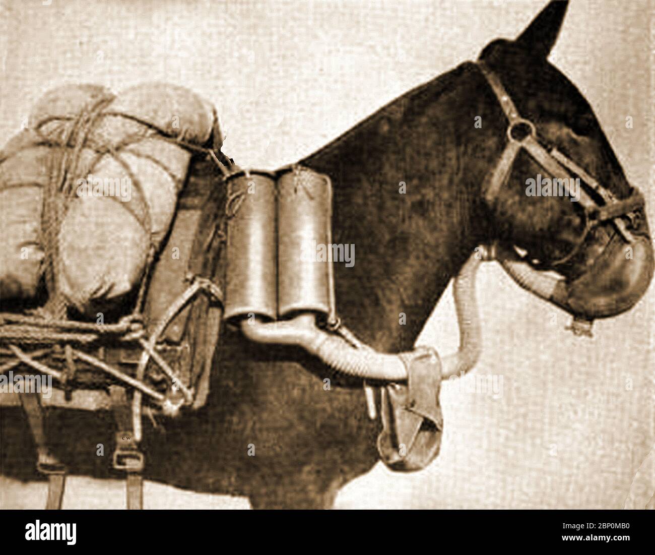 WWI - IMPIANTI PER MUNIZIONI NEL REGNO UNITO. Un aspetto poco noto del lavoro di munizioni era la fabbricazione di maschere a gas per cavalli Foto Stock