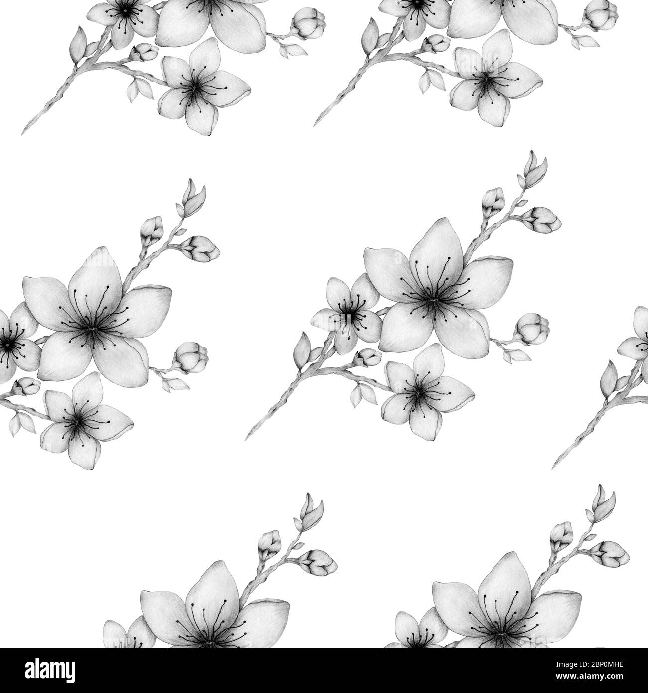 sfondo floreale senza cuciture con fiori in fiore di ciliegio disegnati a mano, matita monocromatica che disegnano fiori sakura per sfondi, tessuti o confezioni Foto Stock