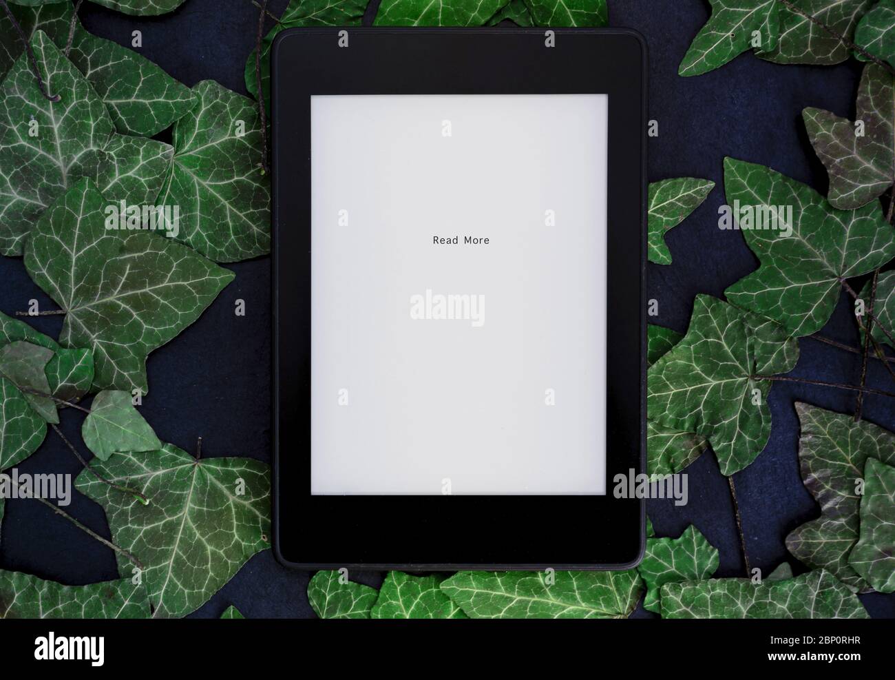Un testo "leggere di più" su uno schermo vuoto e reader su sfondo blu con foglie verdi Foto Stock