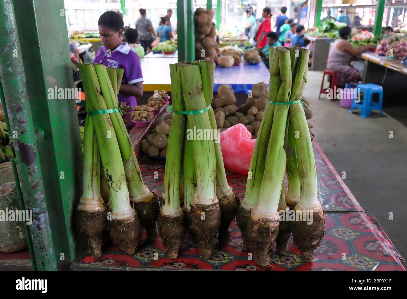 Taro affonda le radici nel mercato di Sigatoka, Coral Coast, viti Levu, Fiji, Sud Pacifico. Foto Stock