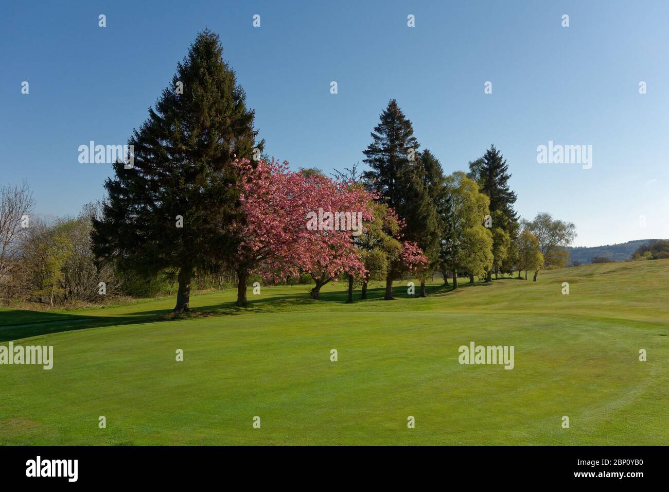 Il Craigie Golf Club, Perth, Scozia in primavera Foto Stock