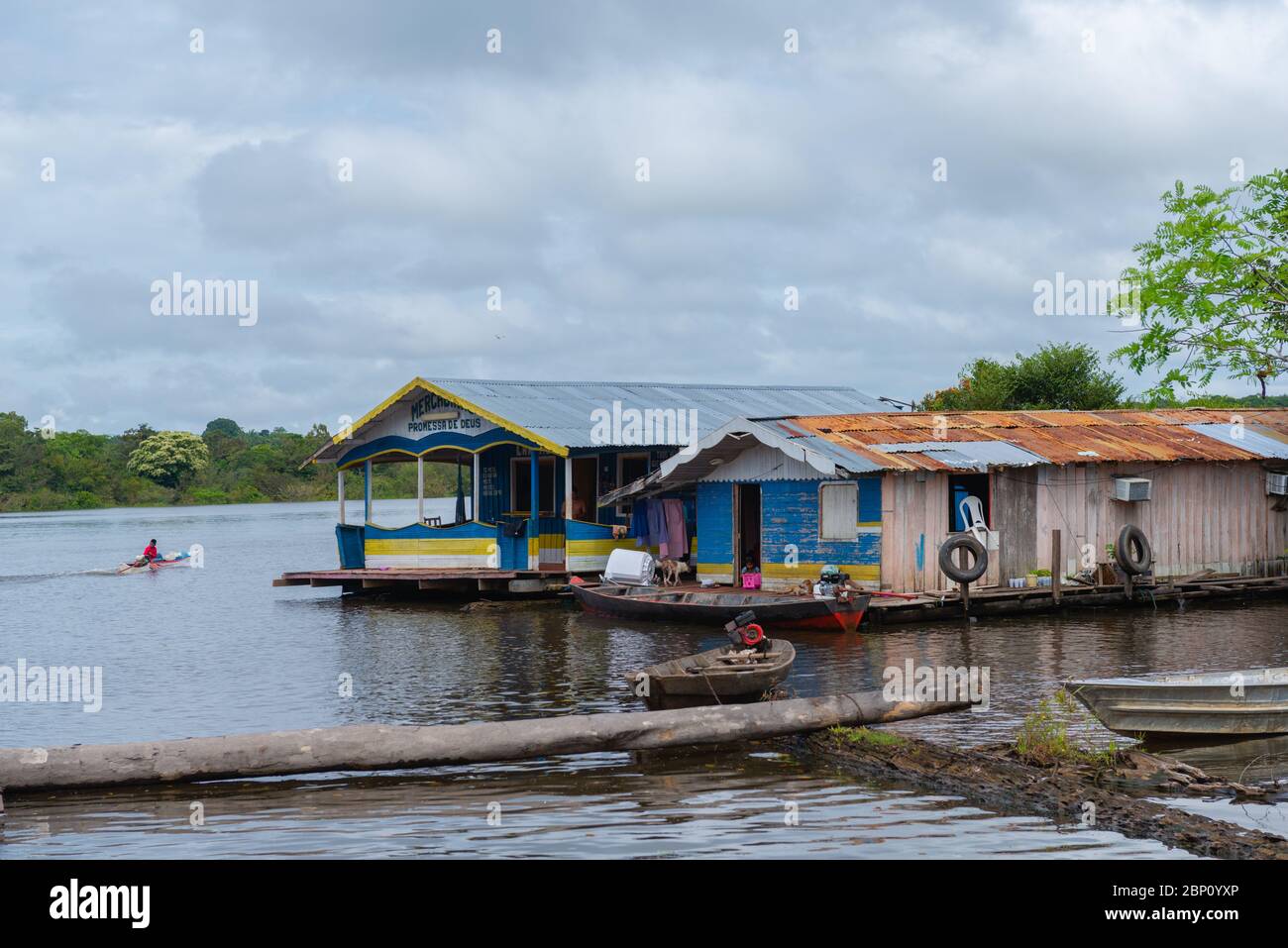 Amazzonas fiume vicino Manaus, l'Amazzonia, Brasile, America Latina Foto Stock