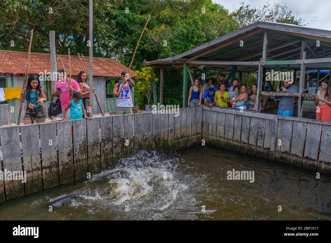 Pesca piranha in cattività come attrazione turistica, Amazzonas fiume vicino Manaus, l'Amazzonia, Brasile, America Latina Foto Stock
