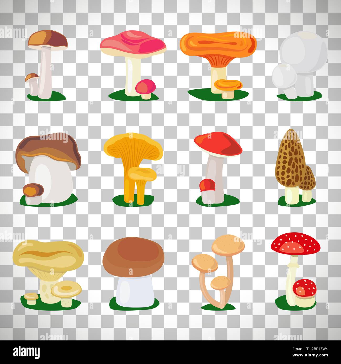 Insieme di illustrazioni di funghi commestibili e toadsgabelli isolati su sfondo trasparente Illustrazione Vettoriale