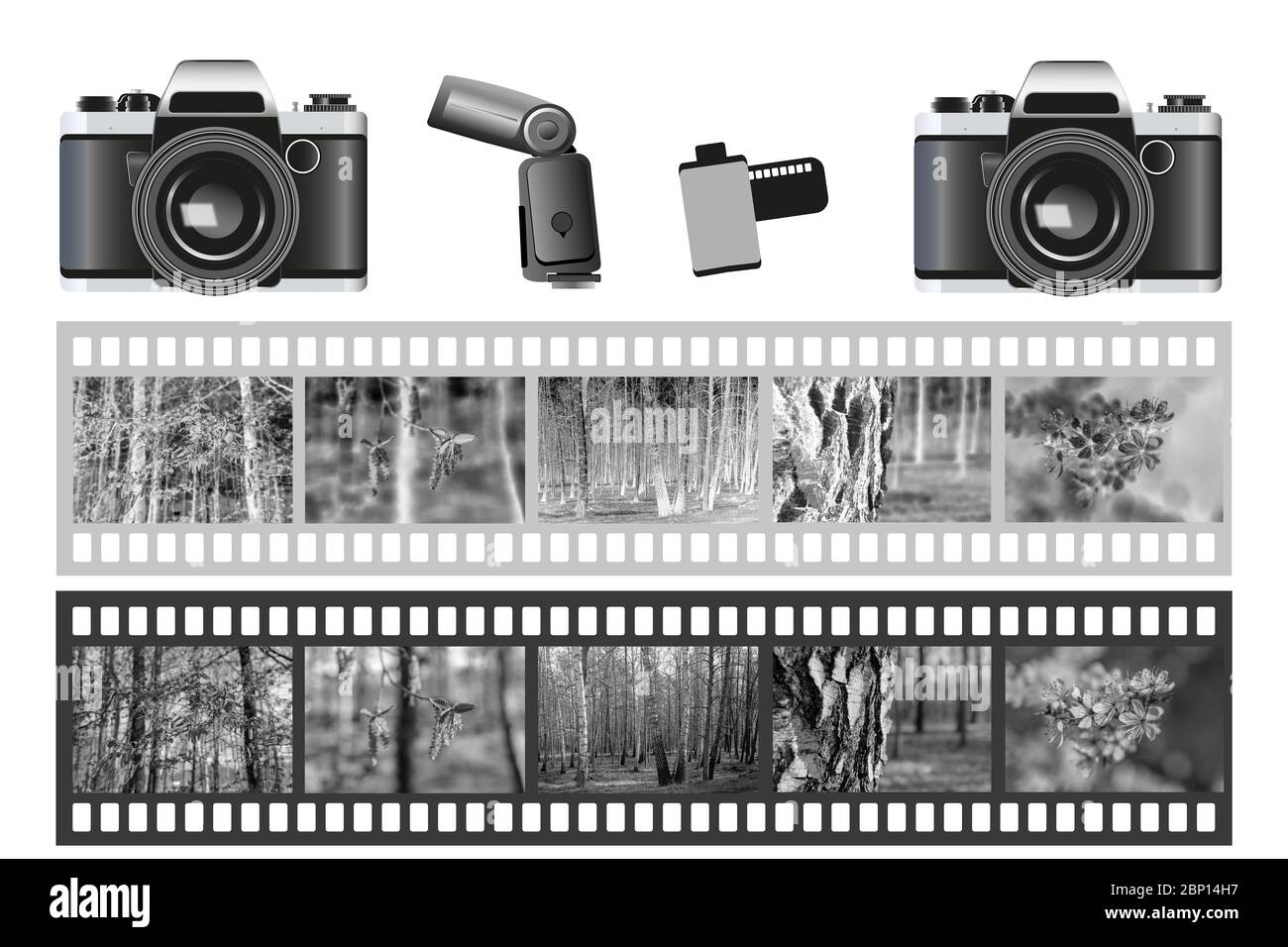 Telecamera analogica, lampada flash, rotolo pellicola da 35 mm, negativo in bianco e nero e vetrino. Collage di attrezzature fotografiche. Fotografia retrò. Ritaglio monocromatico di una t Foto Stock