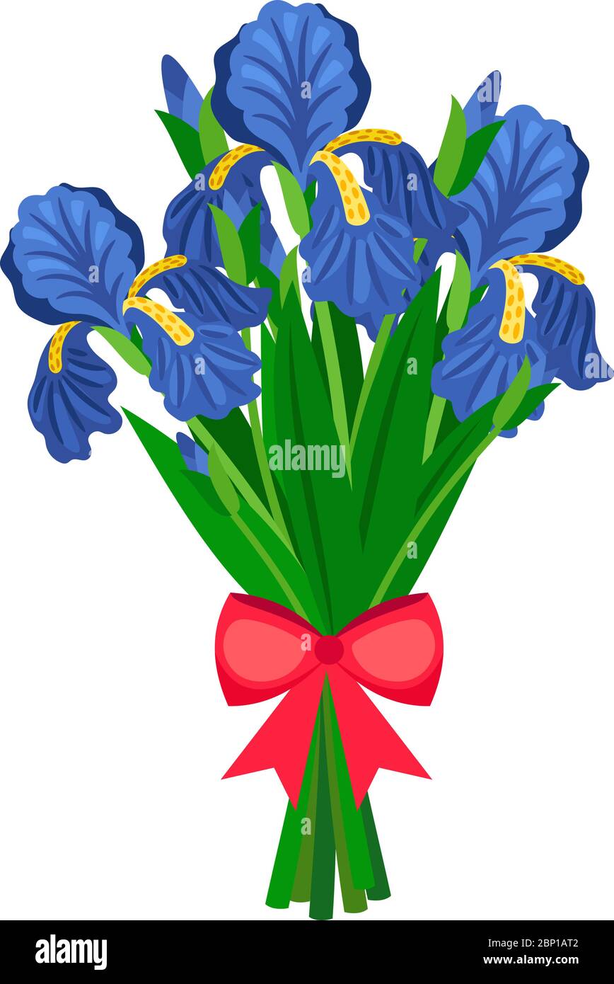 Bouquet di iris blu con arco rosso. Bouquet di fiori su sfondo bianco Illustrazione Vettoriale