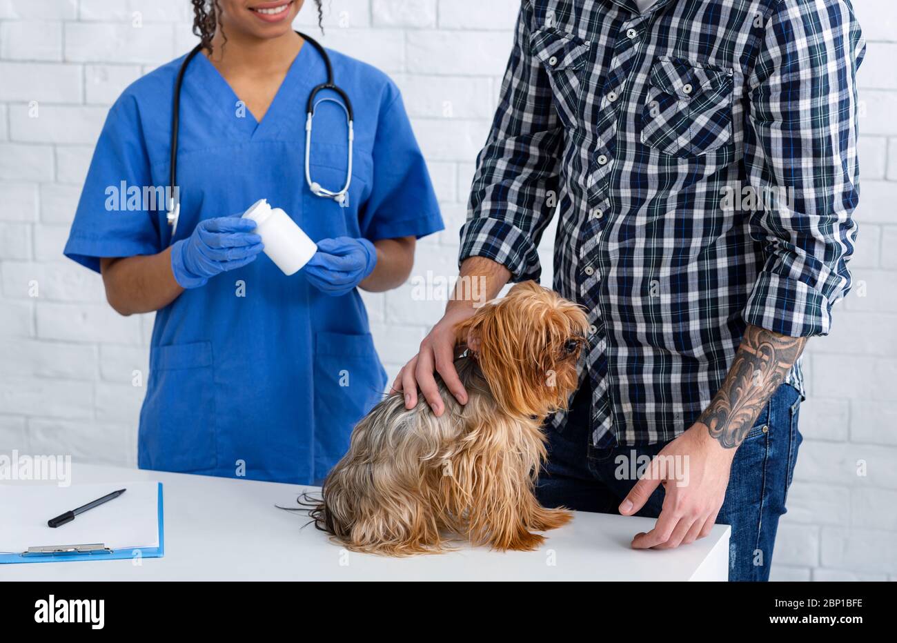 Veterinario che tiene meds e proprietario del cane piccolo in ospedale animale, closeup Foto Stock