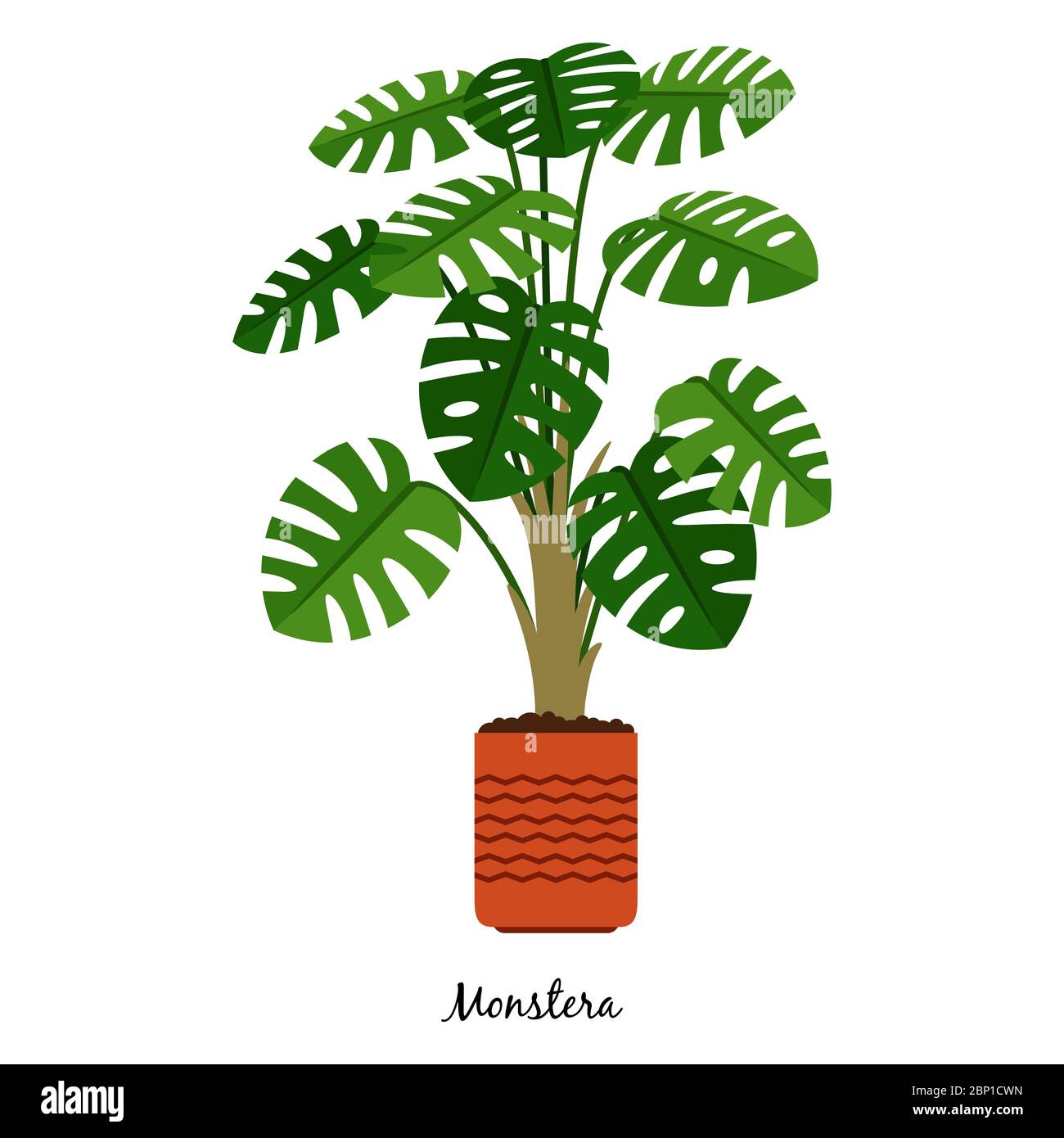 Monstera pianta in vaso isolato su sfondo bianco, illustrazione vettoriale Illustrazione Vettoriale