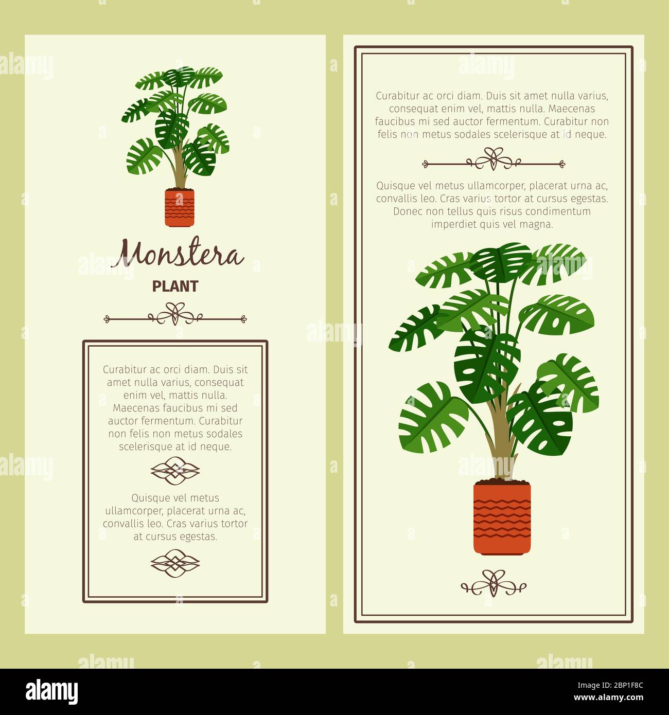 Biglietto d'auguri con pianta decorativa monstera, cornice quadrata. Illustrazione vettoriale Illustrazione Vettoriale