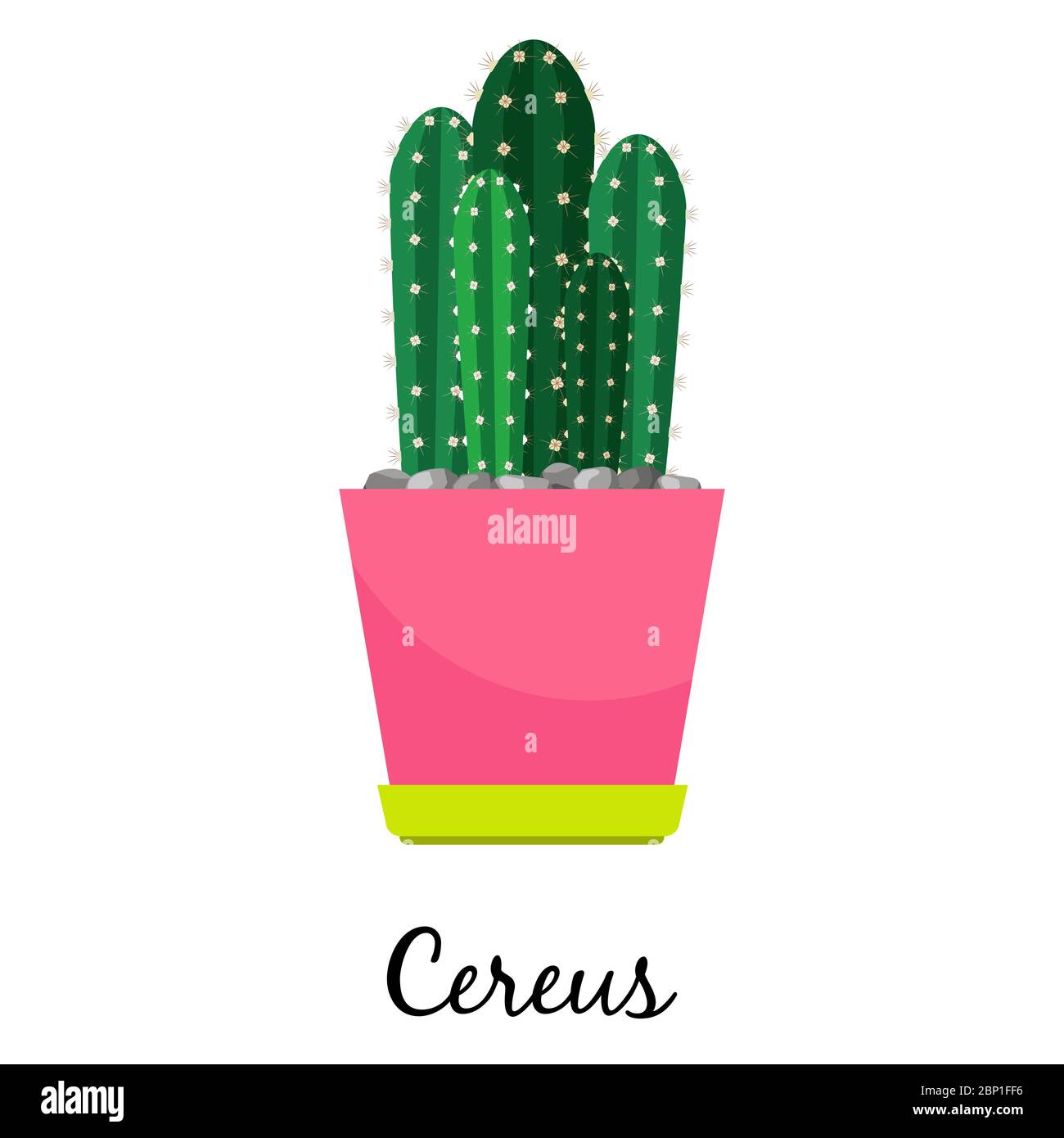 Cactus cereus in vaso isolato su sfondo bianco, illustrazione vettoriale Illustrazione Vettoriale