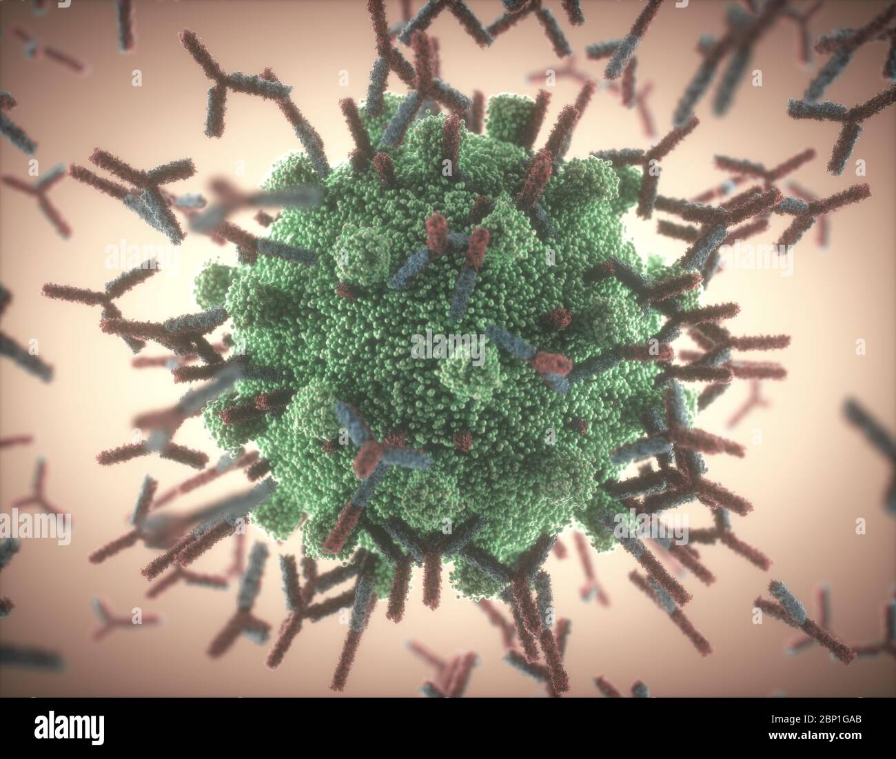 Sistema immunologico, anticorpi che attaccano il virus covid-19. Illustrazione 3D, concetto del sistema di difesa del corpo. Anticorpo a forma di Y che attacca il Foto Stock