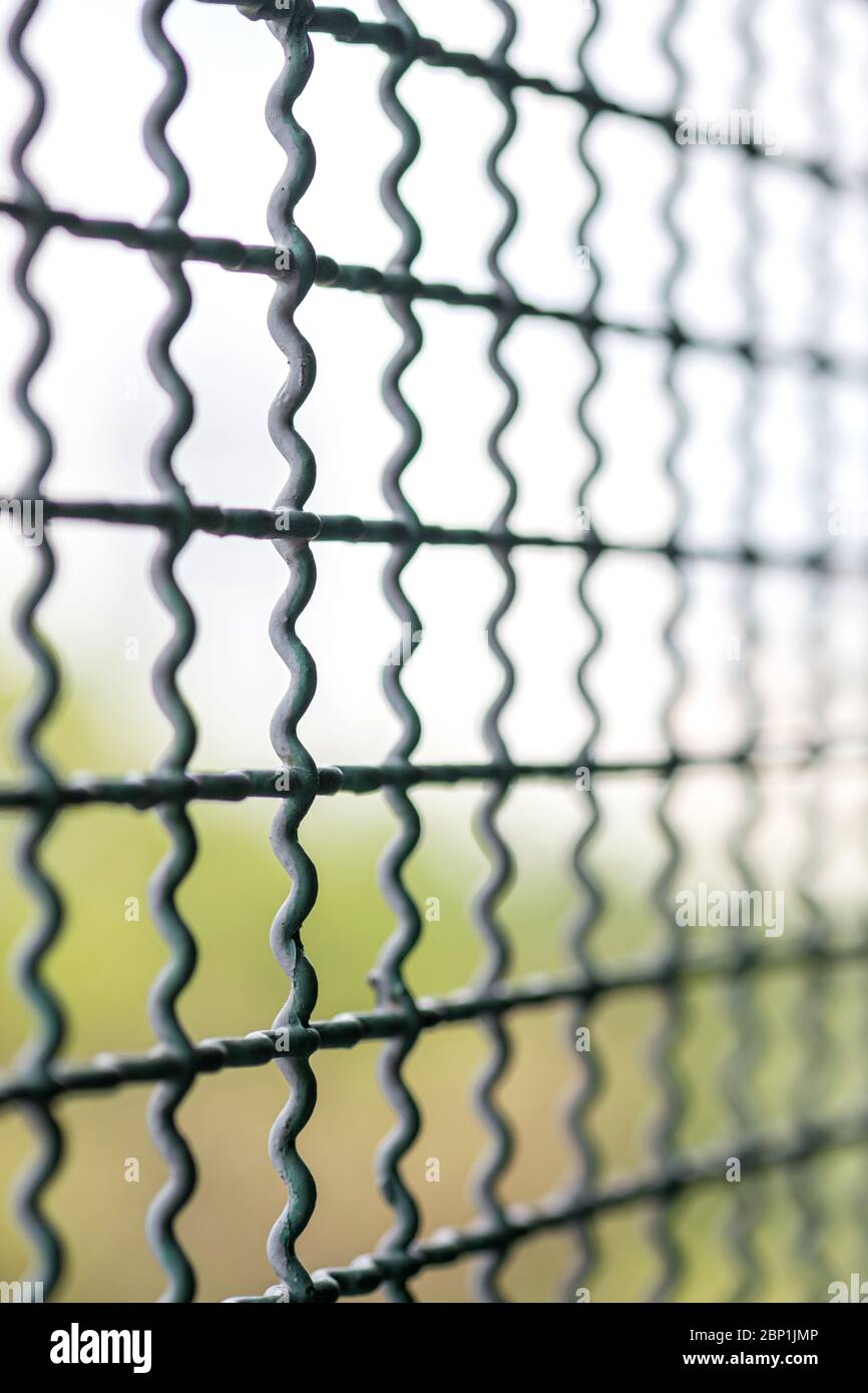 Primo piano del setaccio a rete metallica, Fence Wire Mesh. Foto Stock