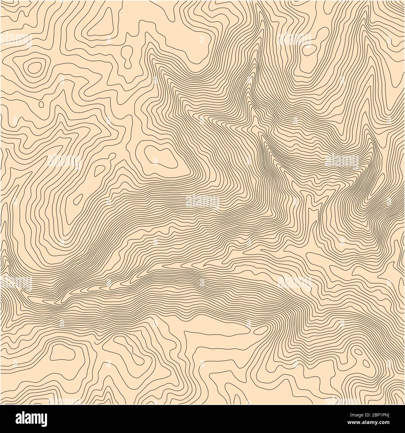 Mappa vettoriale topografica astratta con linee di elevazione e sfondo giallo Illustrazione Vettoriale