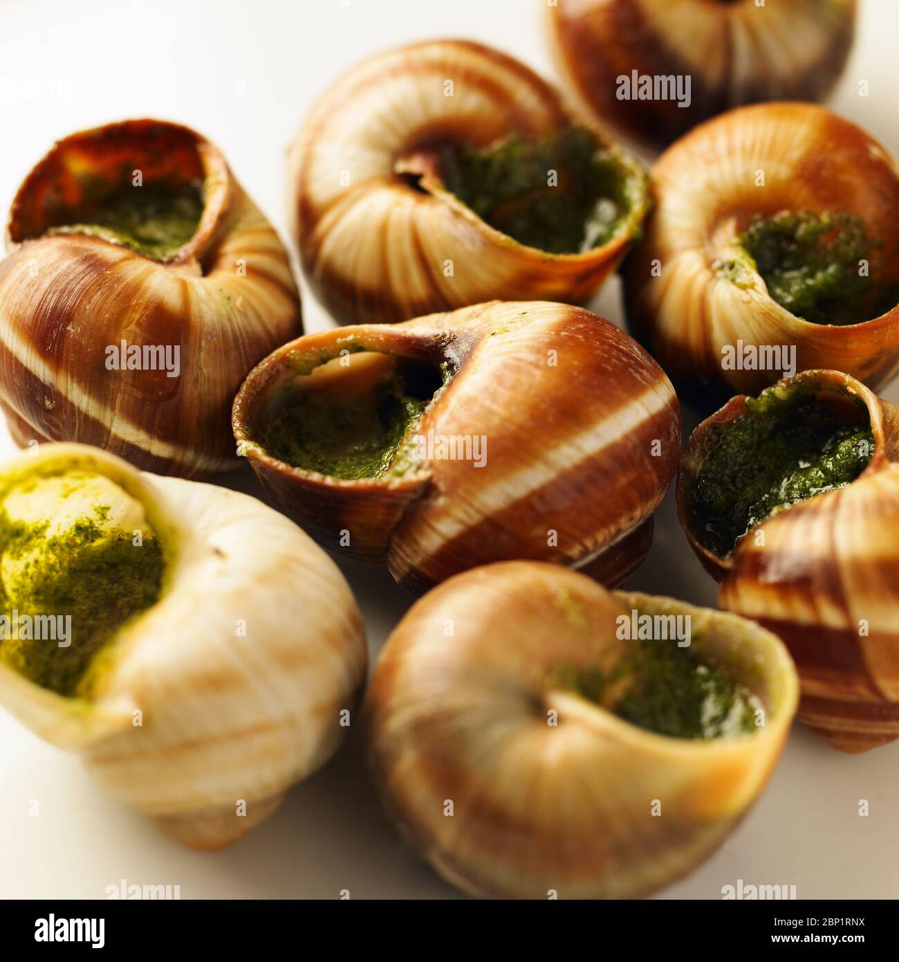 Lumache, o Escargots, in aglio. Una delicatezza gastronomica francese. Foto Stock