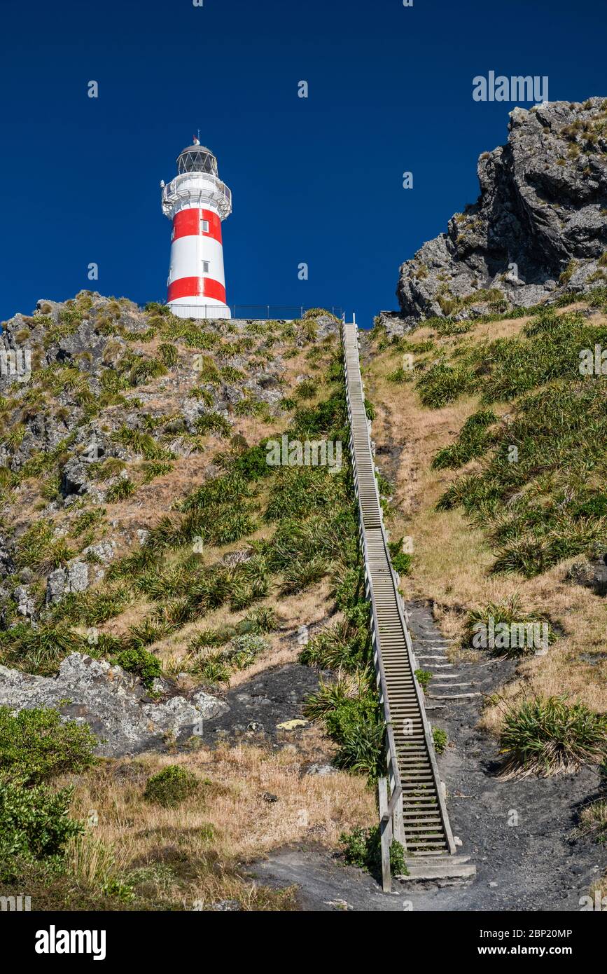 Faro di Cape Palliser, Costa Sud di Wairarapa, Regione di Wellington, Isola del Nord, Nuova Zelanda Foto Stock