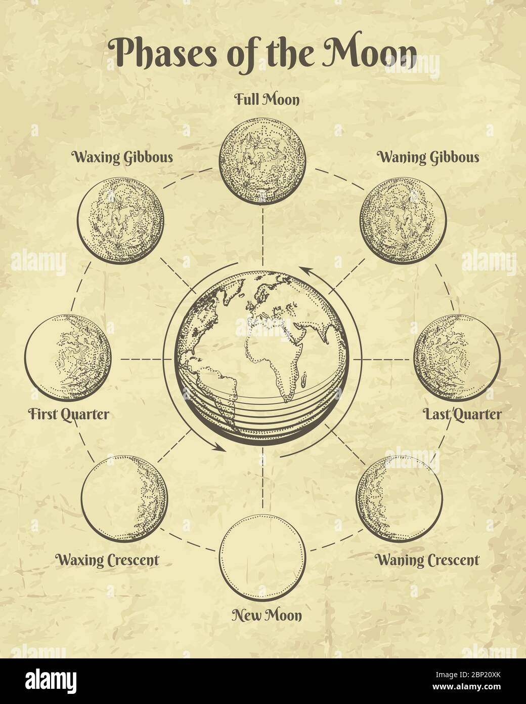 Fasi lunari astrologiche vintage Illustrazione Vettoriale