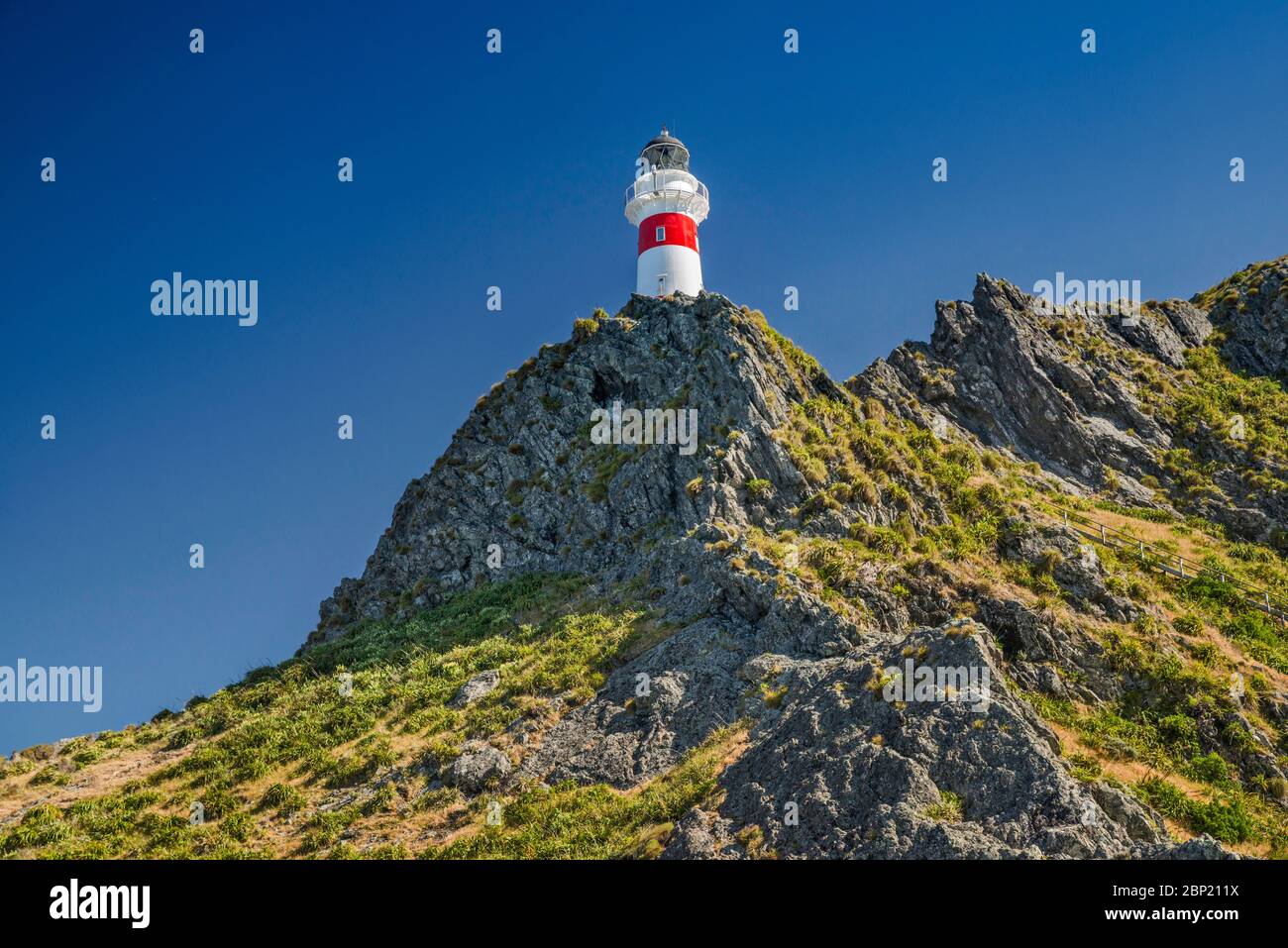 Faro di Cape Palliser, Costa Sud di Wairarapa, Regione di Wellington, Isola del Nord, Nuova Zelanda Foto Stock