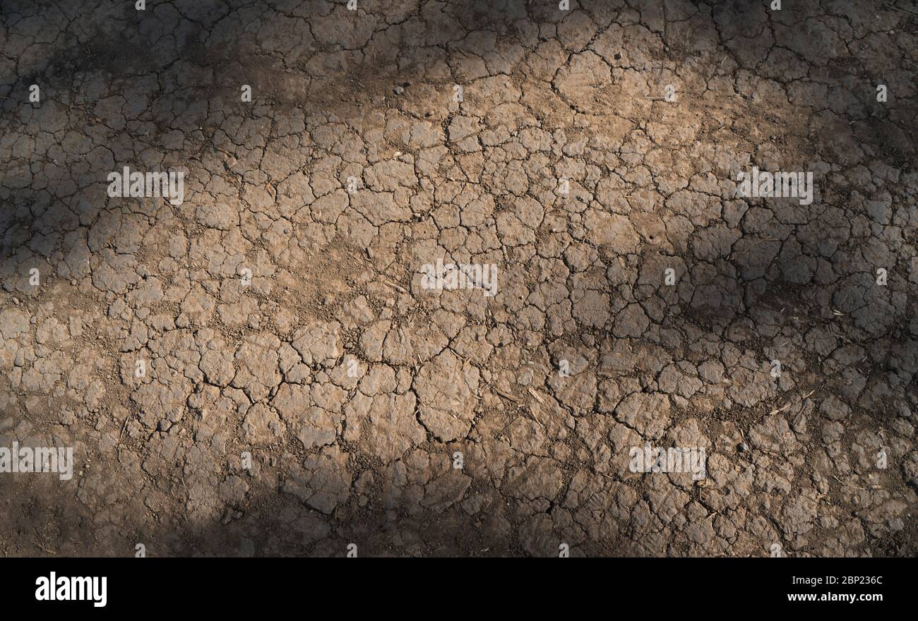 Terra asciutta. Crepe nella terra, siccità. Deserto. Foto Stock