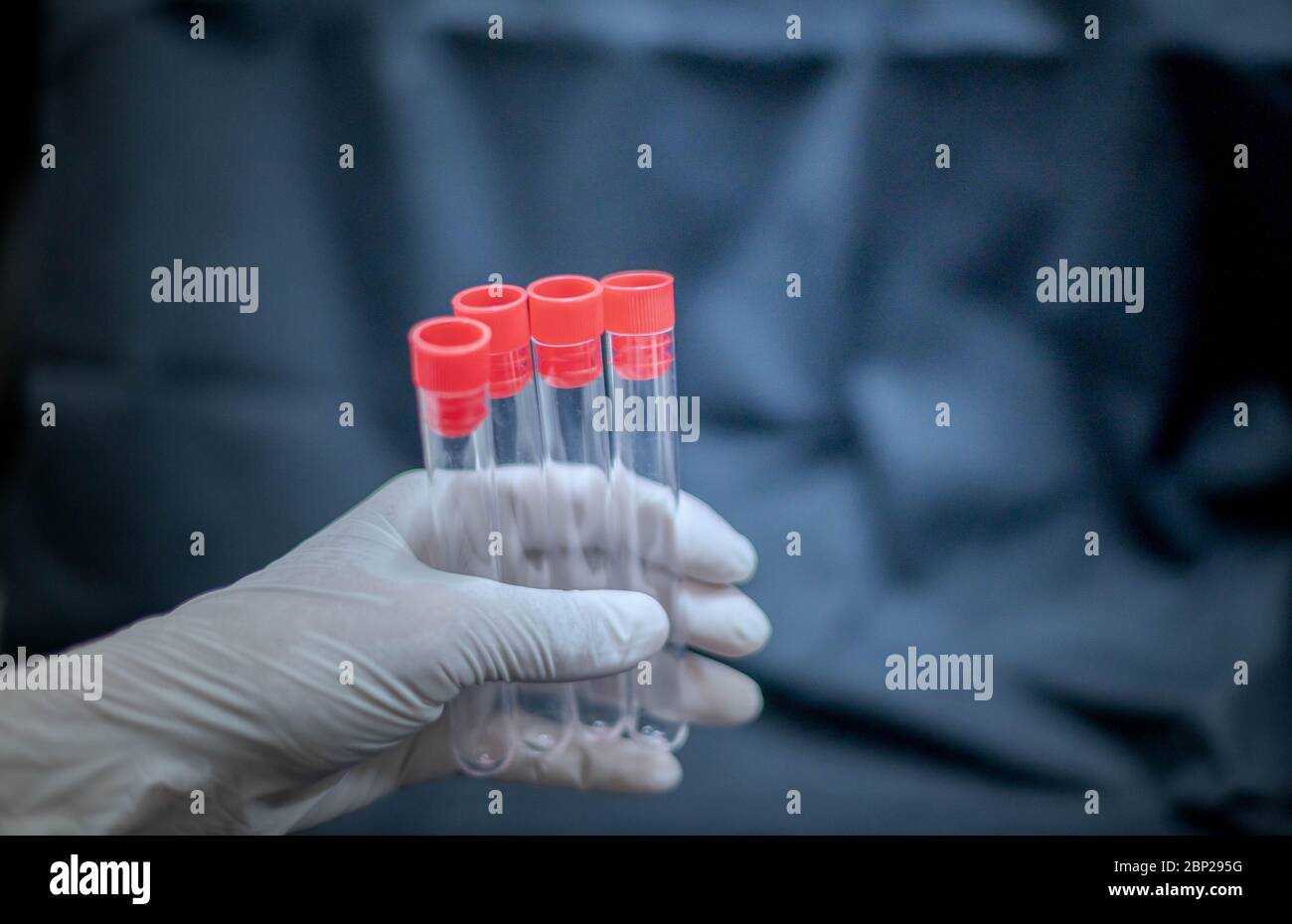 Lo scienziato tiene la provetta e indossa un guanto chirurgico per preparare l'esperimento scientifico nella sala di laboratorio. Foto Stock