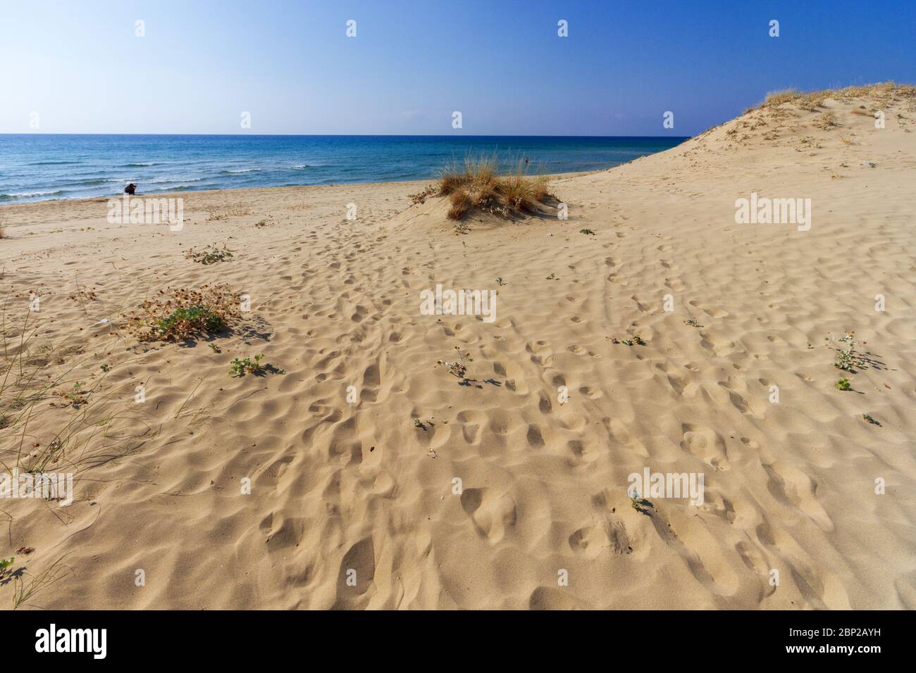 Ammolofoi (dune di sabbia), vicino alla città di Kavala, nella regione Macedonia, Grecia, Europa. Foto Stock