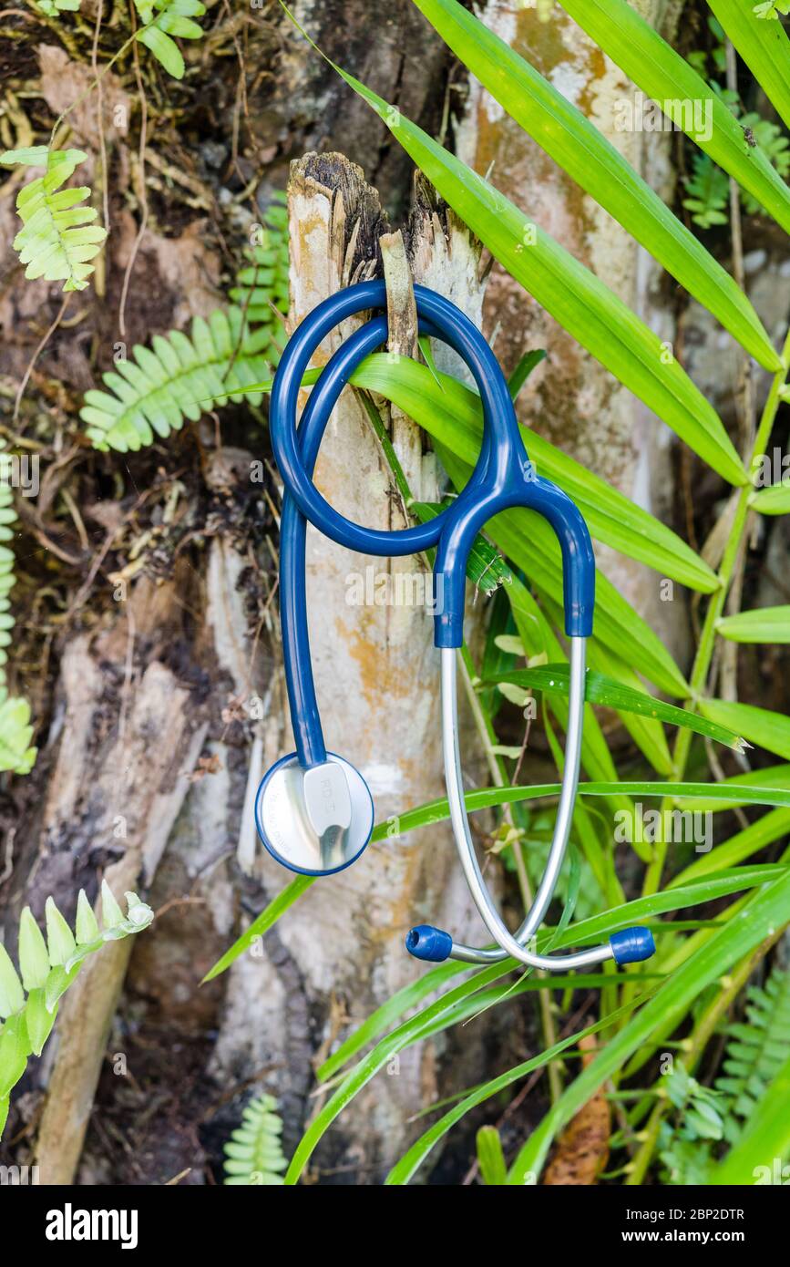 Illustrazione sulla medicina tropicale. Foto Stock