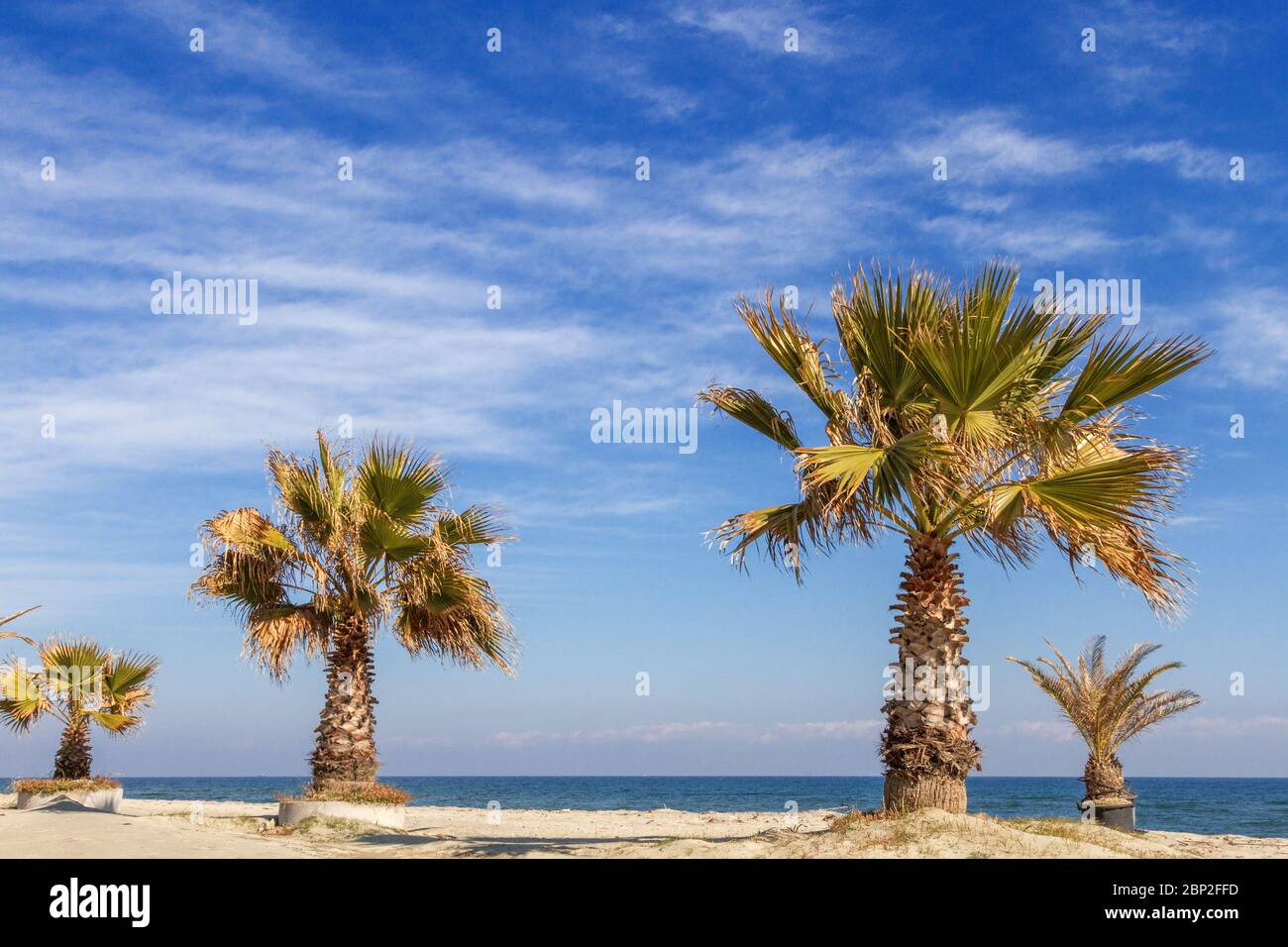 Spiaggia di Agiokambos, nella regione di Larissa, Tessaglia, Grecia, Europa. Foto Stock