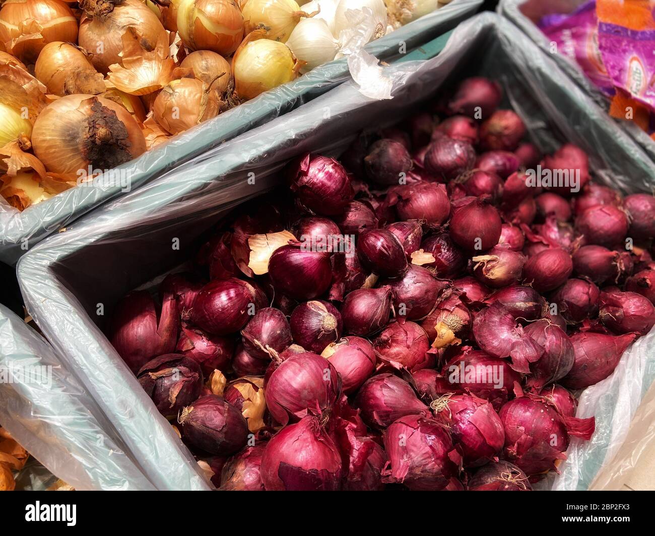 Un contenitore in plastica riempito con frutta e verdura fresche Foto Stock