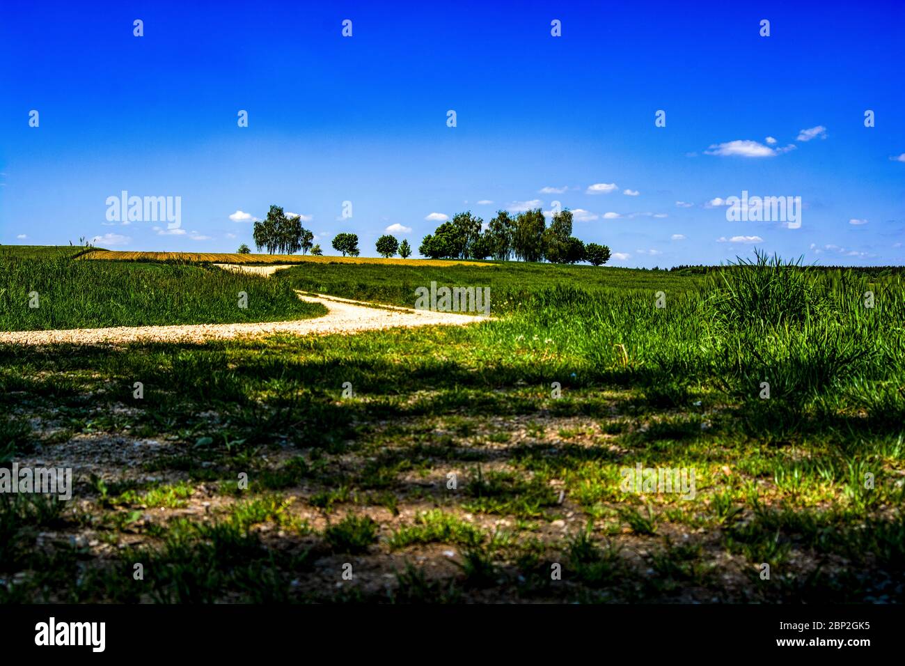 Baden-Württemberg : paesaggio arrounf città Foto Stock