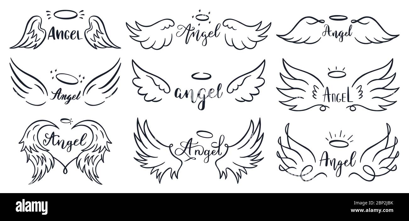 Ali scritte disegnate a mano. Doodle eleganti frasi di ali d'angelo, piuma di volo abbozzata, ali d'angelo alato e set di illustrazioni vettoriali scritte Illustrazione Vettoriale