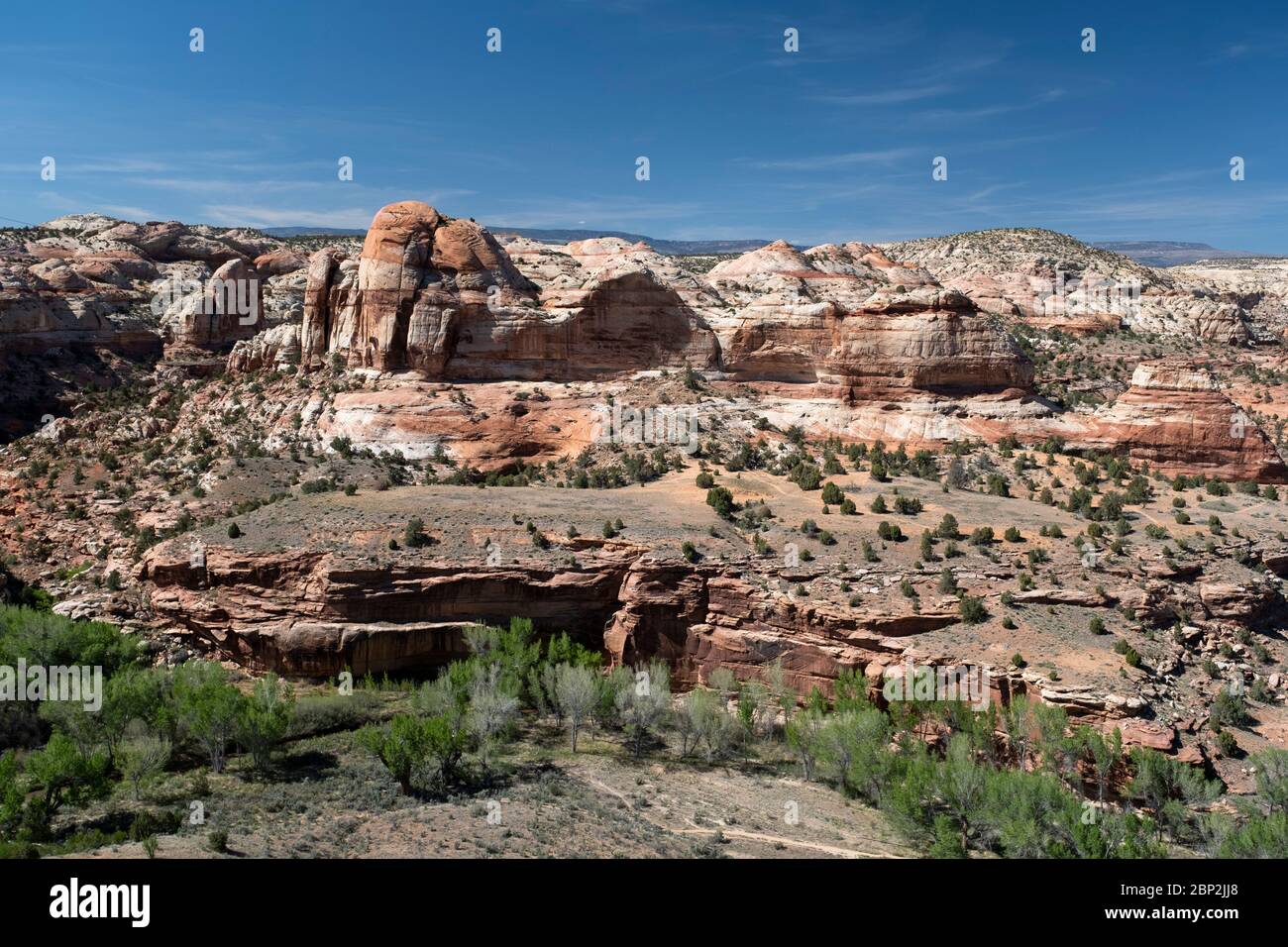 Vista sul paesaggio selvaggio dei canyon Escalante nel Grand Staircase Escalante National Monument nello Utah Foto Stock