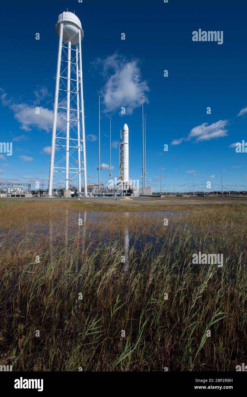 Northrop Grumman Antares CRS-10 il razzo Northrop Grumman Antares, con Cygnus rifornisce a bordo, è visto su Pad-0A, Venerdì, 16 novembre 2018 presso la struttura di volo di Wallops della NASA in Virginia. La decima missione di rifornimento del carico contratta di Northrop Grumman per la NASA alla Stazione spaziale Internazionale consegnerà circa 7,400 libbre di scienza e ricerca, forniture di equipaggio e hardware per veicoli al laboratorio orbitale e al suo equipaggio. Il lancio è attualmente previsto per il 17 novembre alle 4:01 EST. Foto Stock