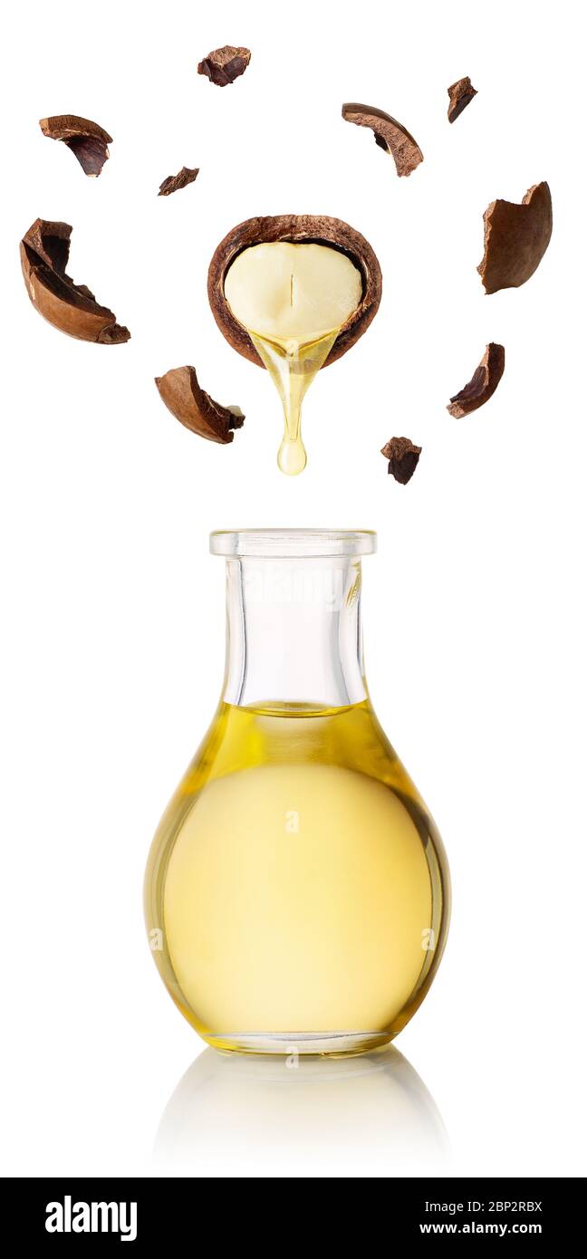olio di macadamia e noci Foto Stock