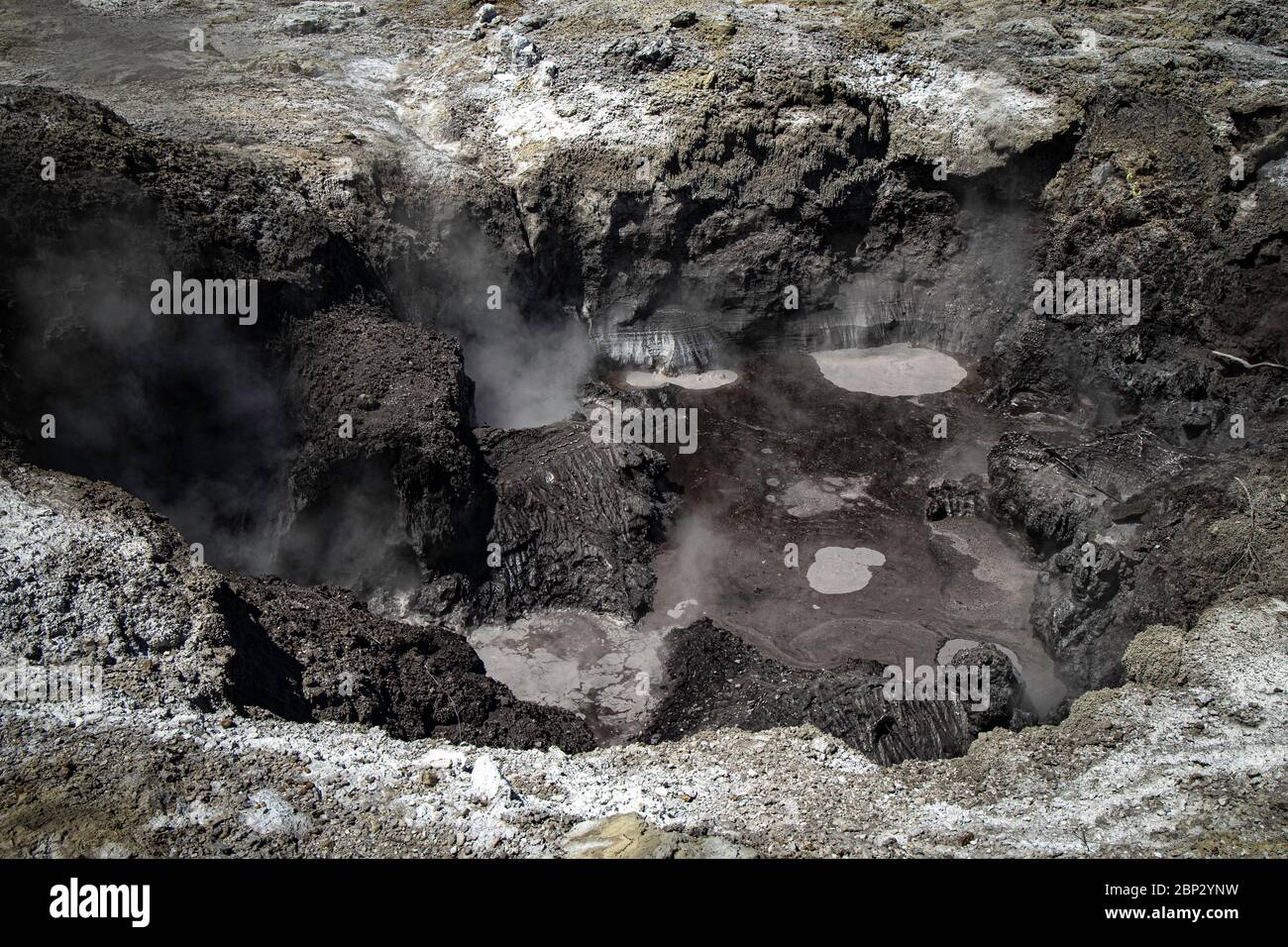 Wai-o-Tapu, Rotorua, Nuova Zelanda. Un'area geotermica attiva sull'Isola del Nord all'interno della zona vulcanica di Taupo. Foto Stock