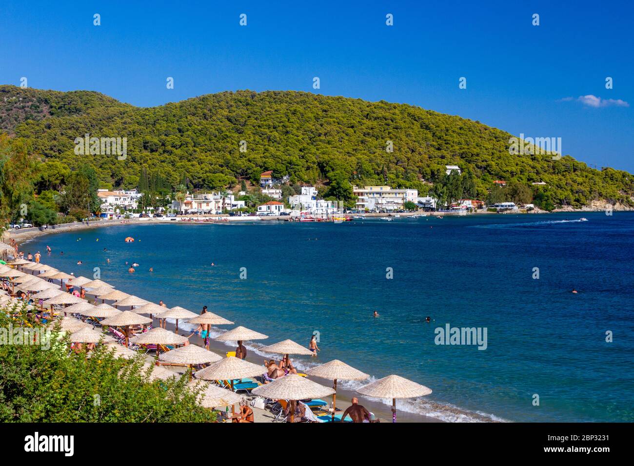 Spiaggia organizzata di Askeli, in Poros isola, Golfo Saronico, Grecia, Europa. Foto Stock