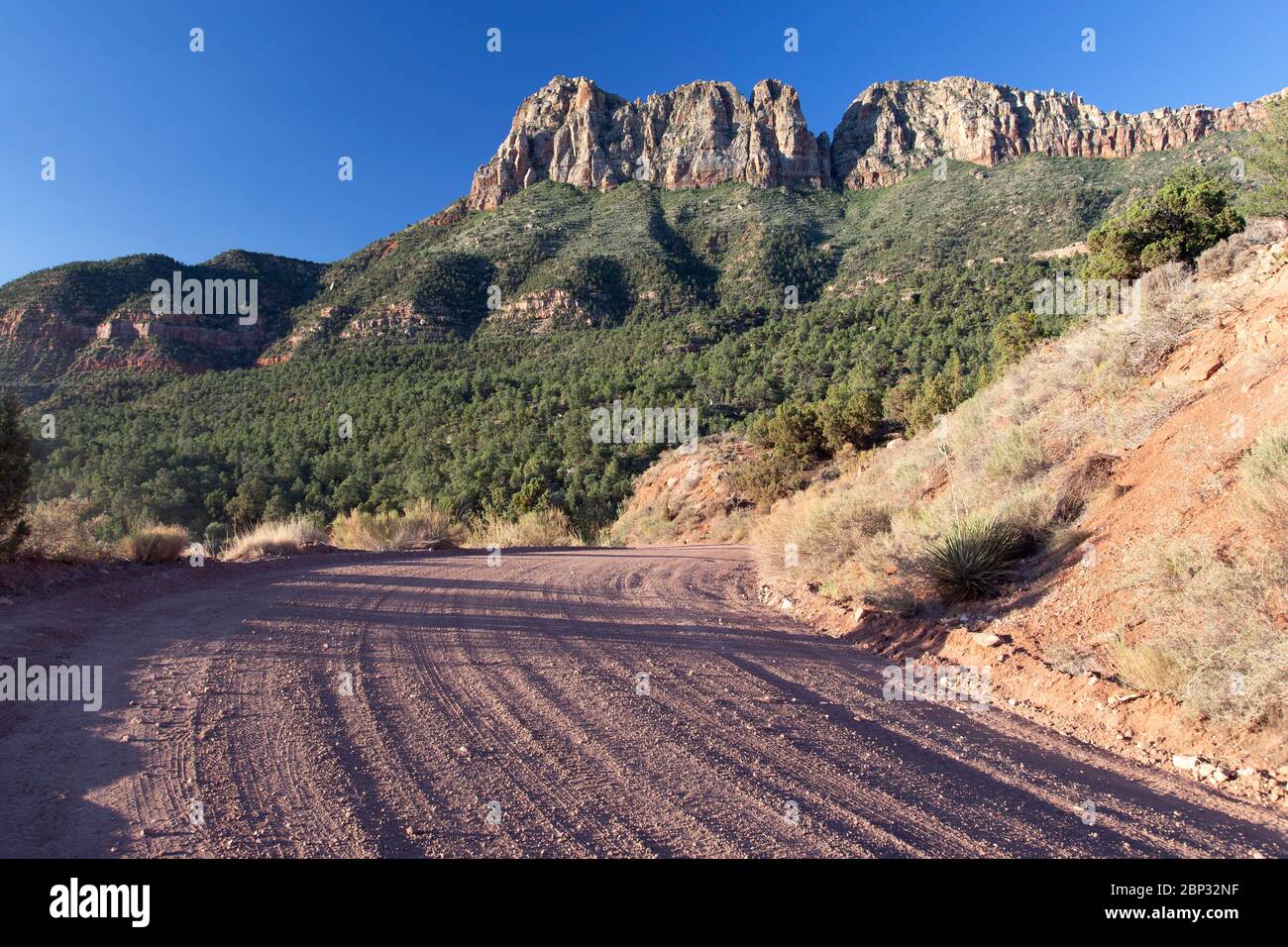 Vista lungo la strada sterrata della regione di Smithsonian Butte, nello Utah meridionale, vicino a Rockville Foto Stock