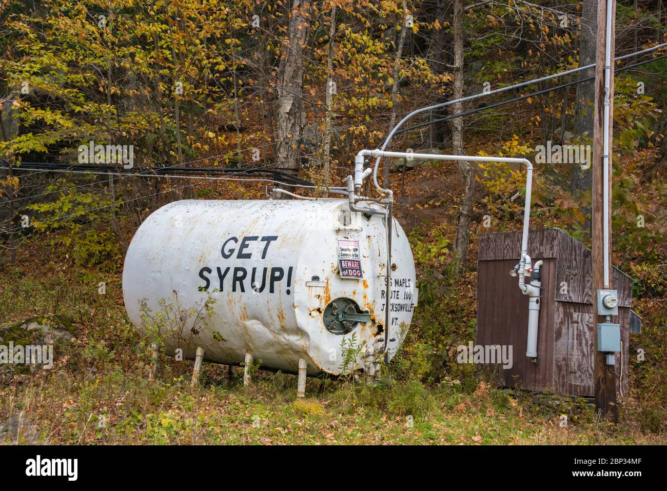 Serbatoio da collezione Vermont Maple Zugaring SAP, West dover, Vermont Foto Stock