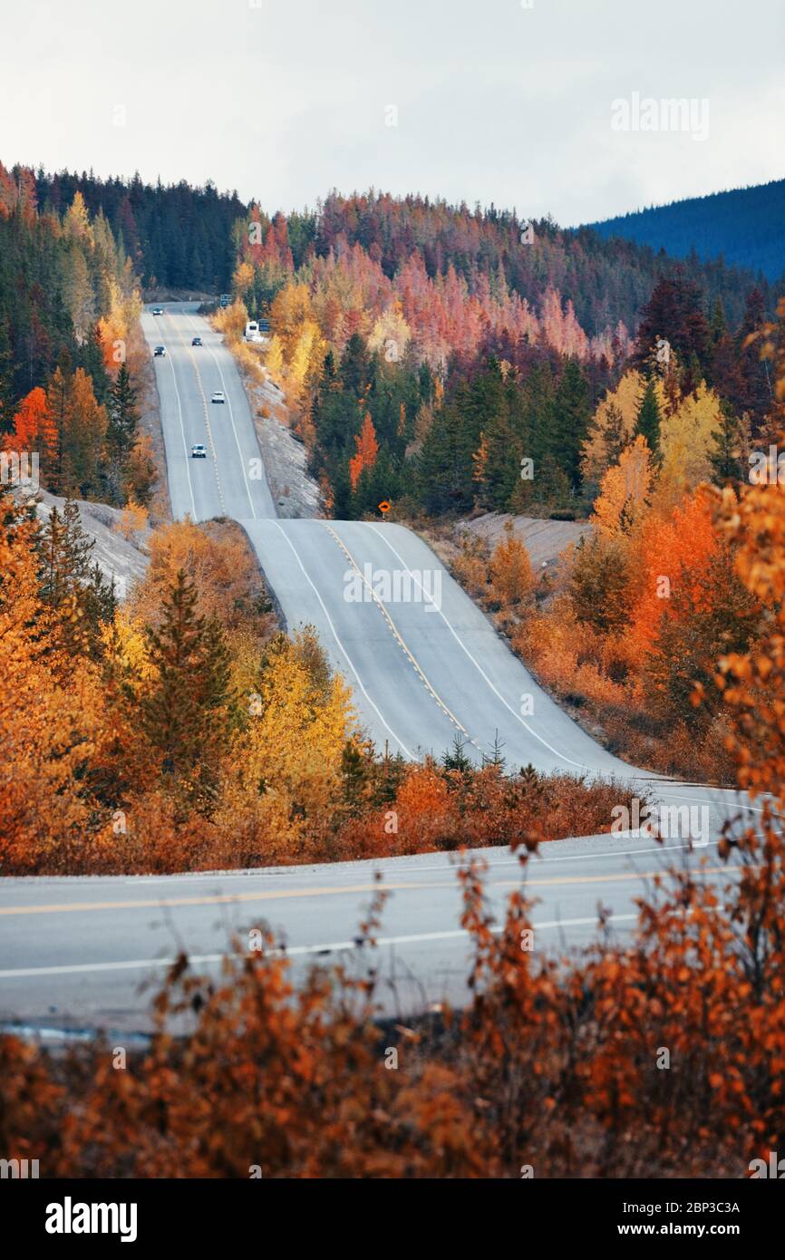 Auto sulla strada nel Parco Nazionale di Banff in Canada Foto Stock