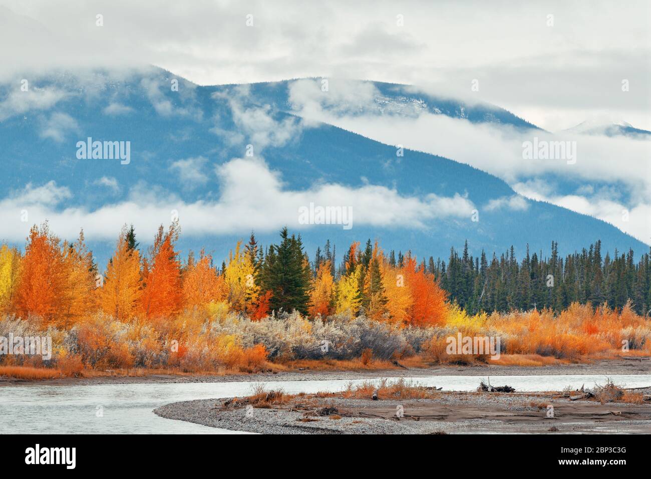 Bellissimo fogliame di autunno nel Parco Nazionale di Jasper in Canada Foto Stock