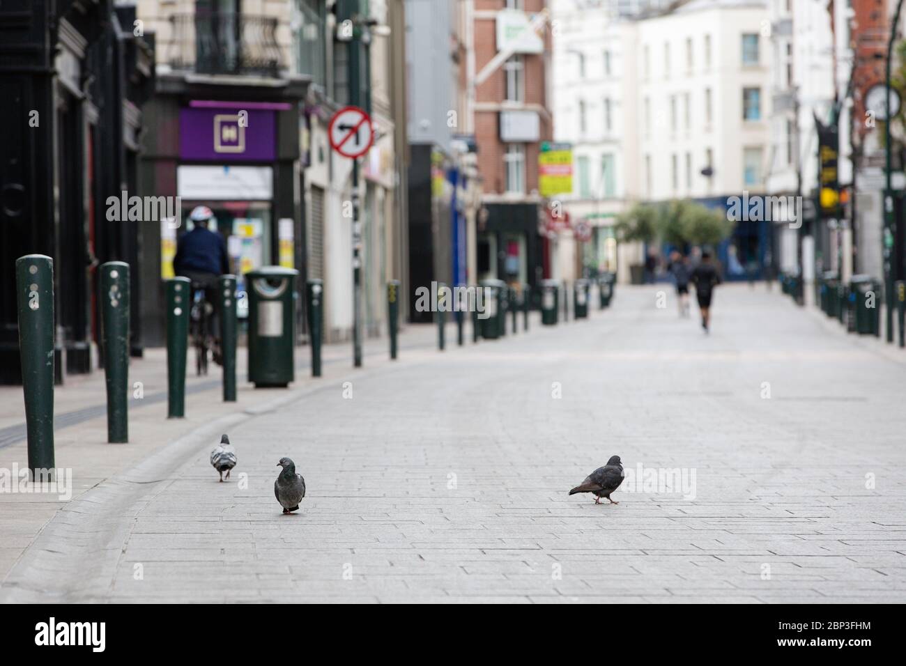 Piccioni sulla deserta Grafton Street nel centro di Dublino, come il crollo dei piedi a causa della pandemia di coronavirus. Covid-19 in Irlanda. Foto Stock