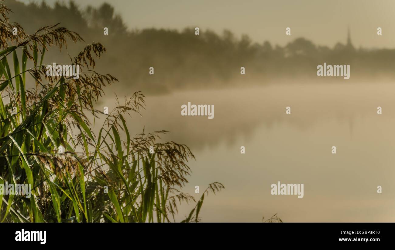 Alba di prima mattina a Forfar Loch, Angus Scozia. Foto Stock