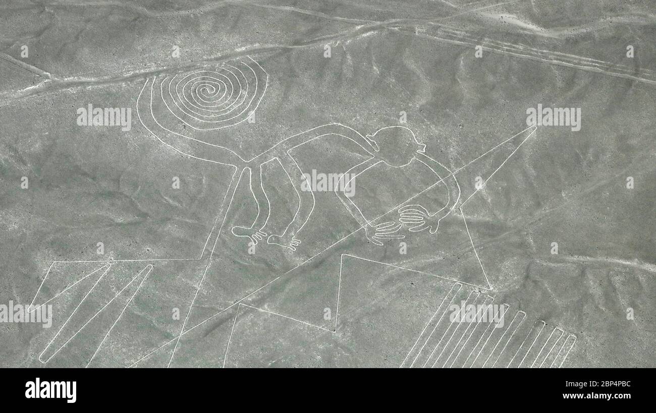 La figura della scimmia, linee di Nazca, Perù Foto Stock