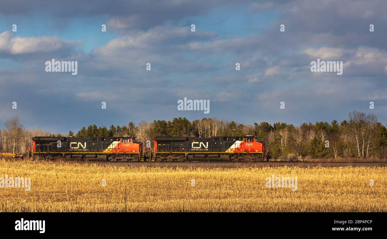 Treno merci CN che passa attraverso una comunità agricola a Exeland, Wisconsin. Foto Stock