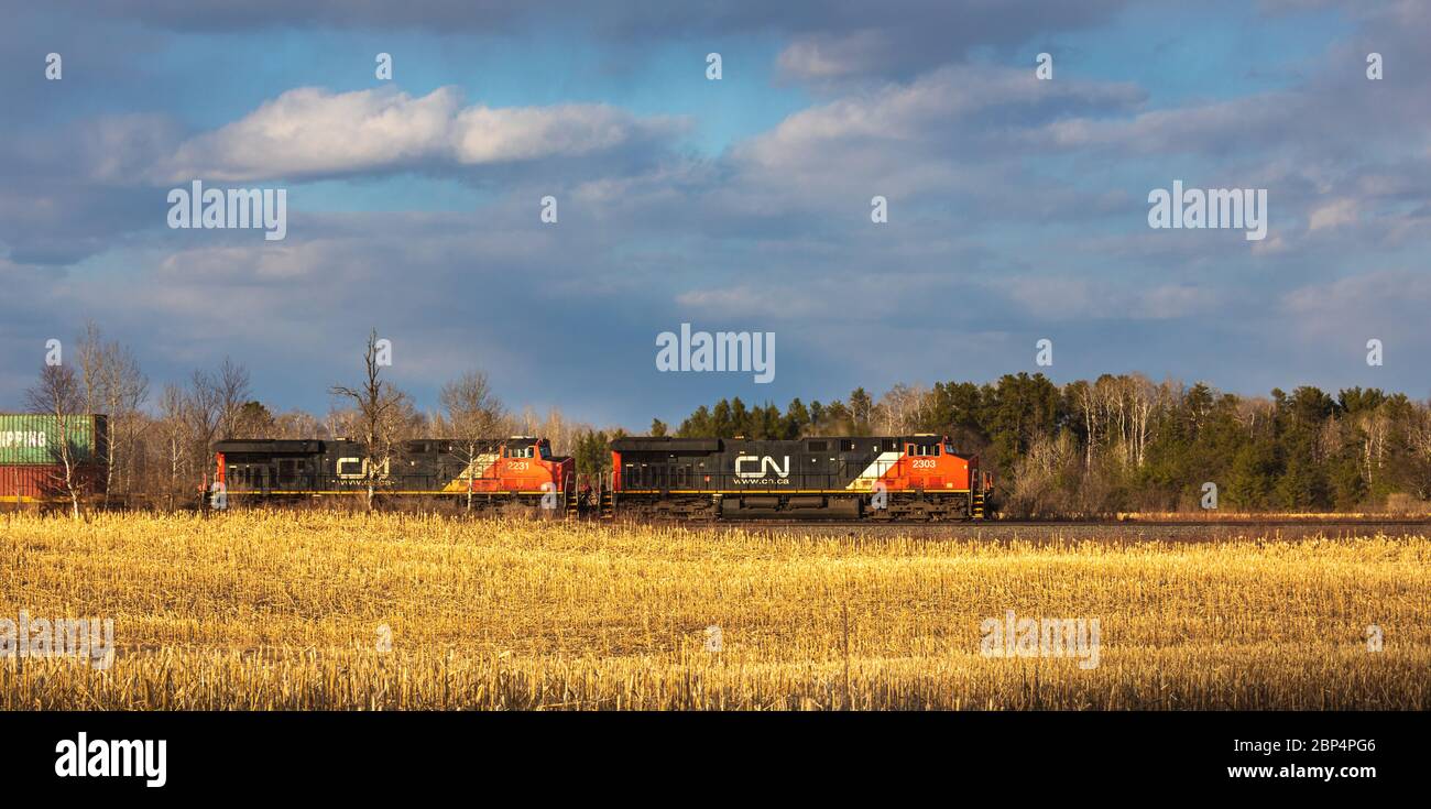 Treno merci CN che passa attraverso una comunità agricola a Exeland, Wisconsin. Foto Stock