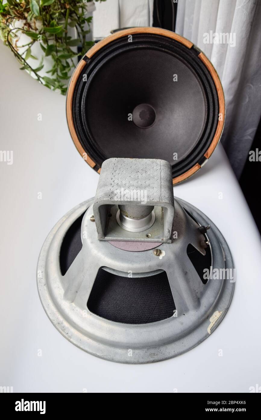 Woofer sovietico antico 5gd-3 da Vintage Acoustics Symphony. Foto Stock