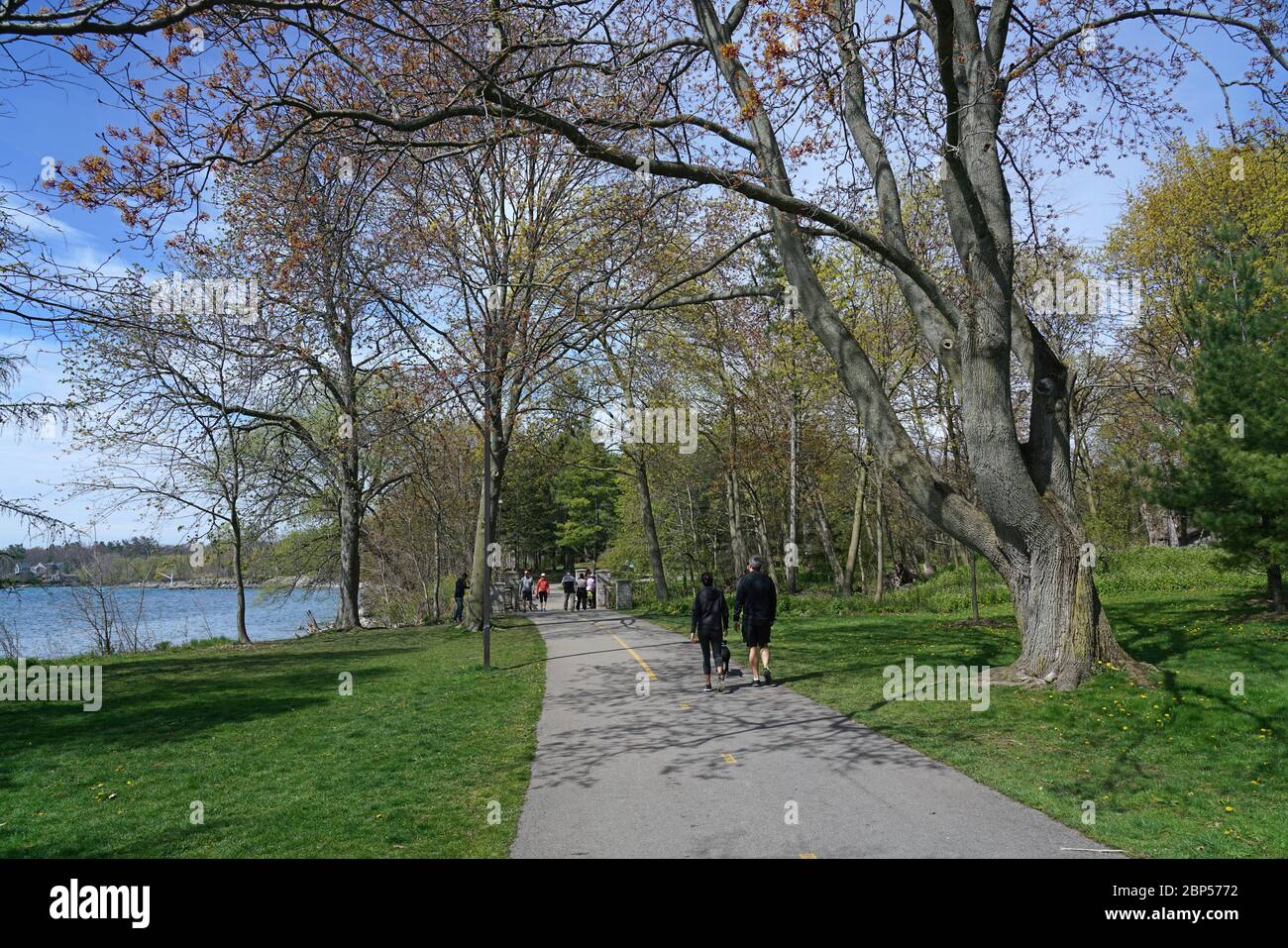 TORONTO - MAGGIO 2020: Toronto e i suoi sobborghi hanno una rete continua di sentieri lungo il lago Ontario lungomare per andare in bicicletta e camminare attraverso par Foto Stock