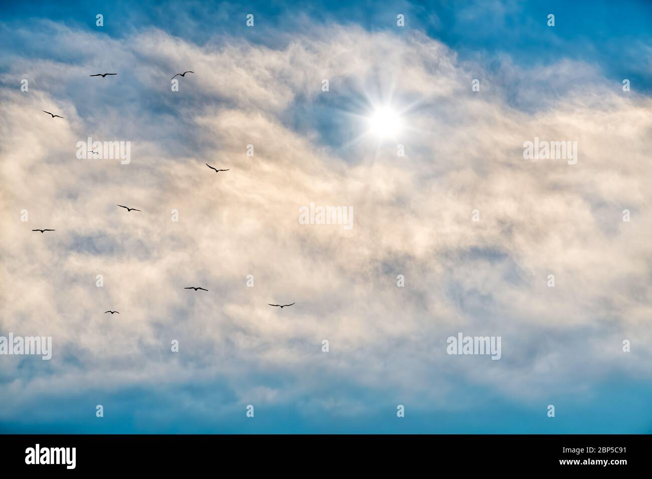 Una stella luminosa brilla attraverso le nuvole bianche nel cielo blu Foto Stock